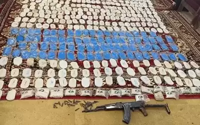 الجيش الأردني يحبط محاولة تسلل وتهريب