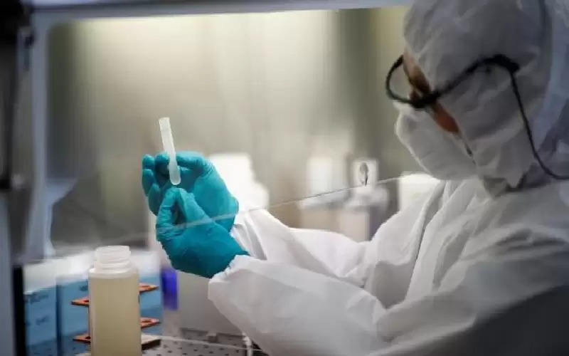 تقرير أمريكي جديد يرجح نشأة كورونا