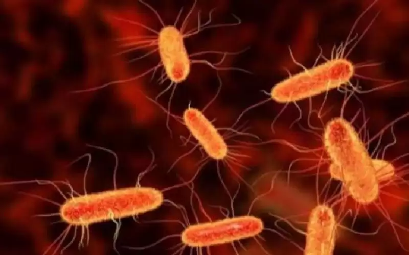 تفشي بكتيريا غازية بمدرسة بريطانية.. وفاة