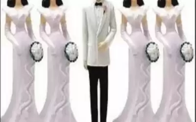 5069 أردنيا عددوا زواجهم في عام