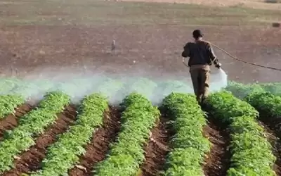 الأردن يستضيف ورشة إقليمية حول الإدارة