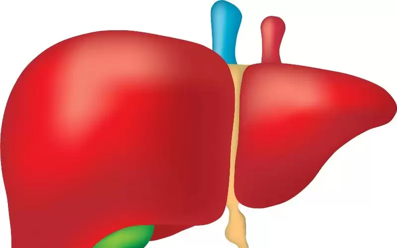 علامات تحذيرية في الساقين والبطن تنذر