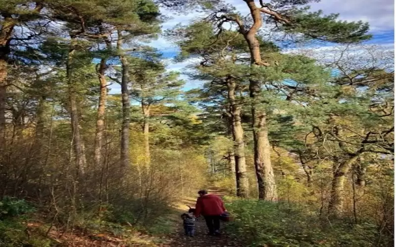 عائلة تخفض نفقات الطعام إلى 6