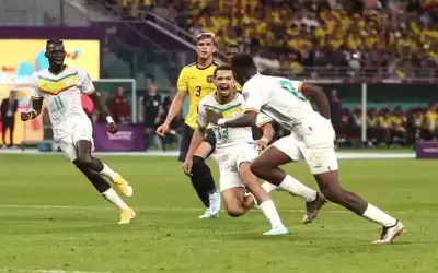 بهدف .. هولندا تتقدم على قطر
