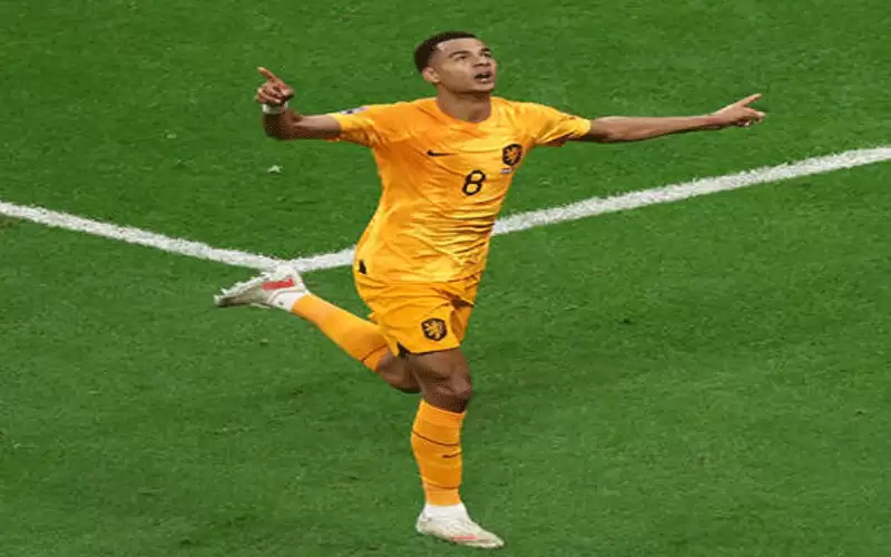 هولندا تتخطى قطر وتتصدر المجموعة