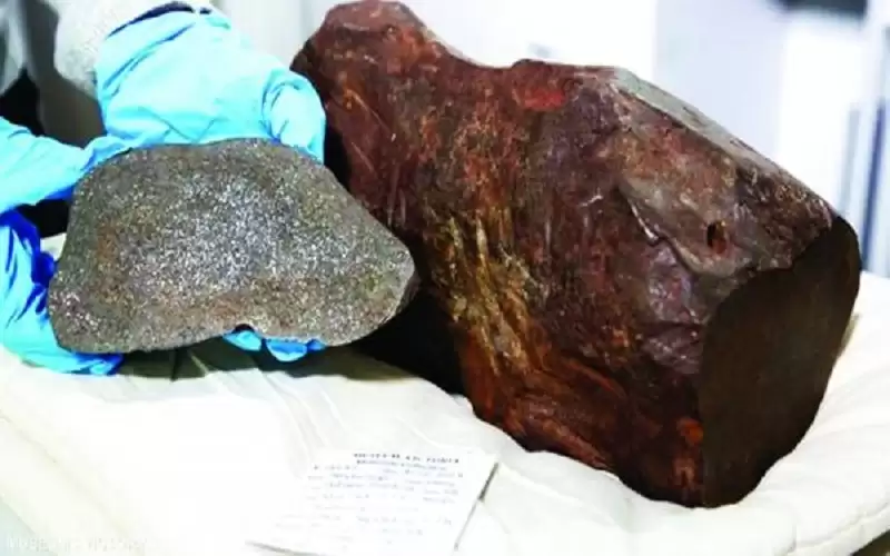 يقتني صخرة ليكتشف أنها أندر من