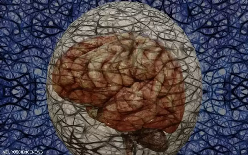 علاج جديد للزهايمر يثبت فعاليته في