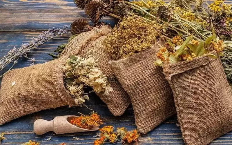 أفضل الأعشاب لتهدئة ضربات القلب