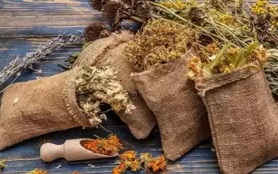 أفضل الأعشاب لتهدئة ضربات القلب