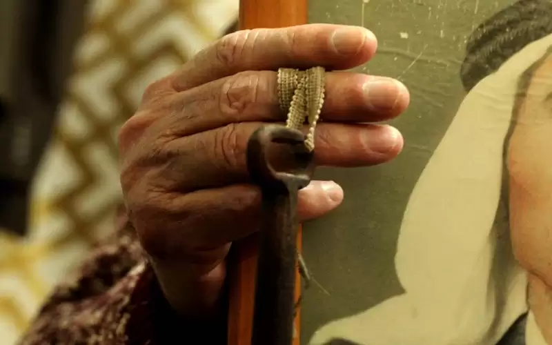 الأمم المتحدة تتبنى 4 قرارات للقضية