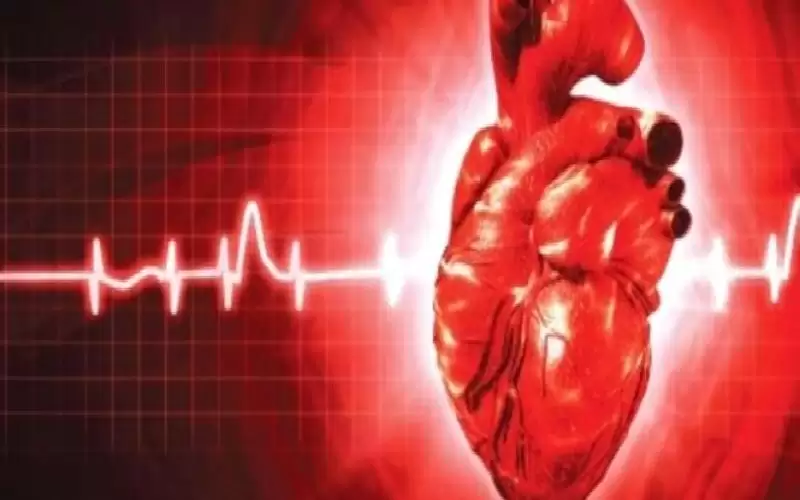 كم يبلغ معدل النبض أثناء الراحة؟