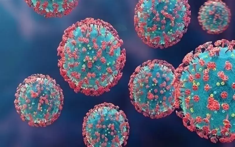 بدانة المرأة عامل لزيادة أعراض كورونا