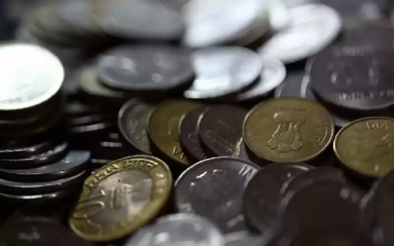 وزنها أكثر من 1.5 كيلو ..