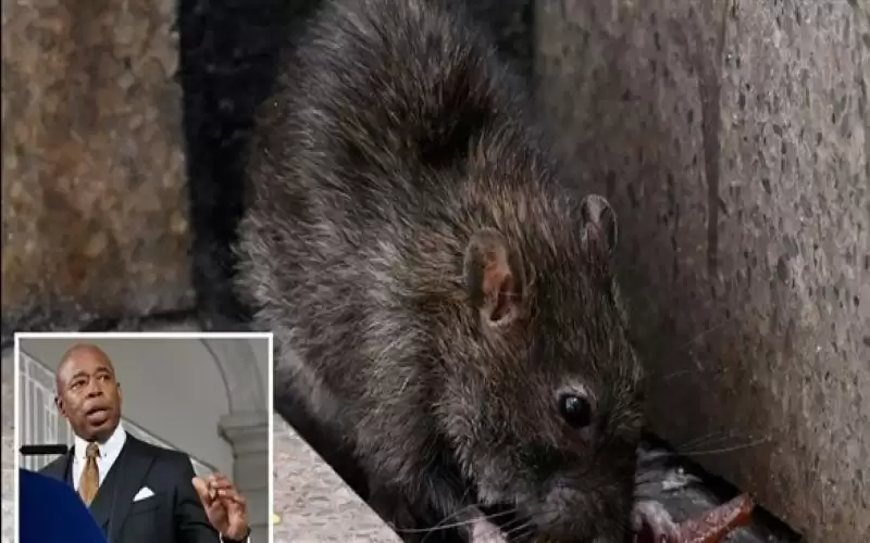 براتب 170 ألف دولار.. نيويورك توظف