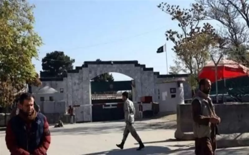 باكستان: نتحقق من هجوم داعش على