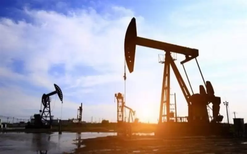 لضمان الاستقرار.. أوبك تبقي على سياسة