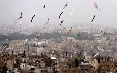 أجواء لطيفة نهارا وباردة ليلا في