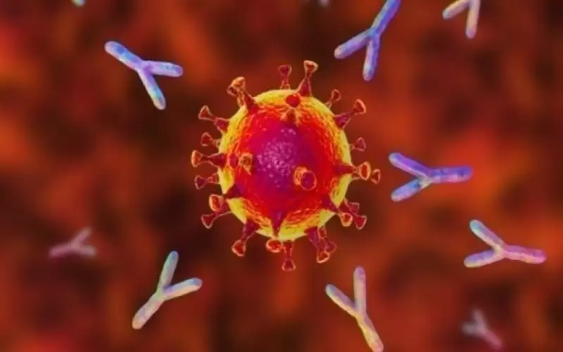 هل يكبح فيروس كورونا نمو سرطان