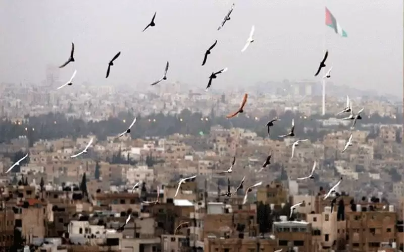 أجواء معتدلة في معظم المناطق وتوقع