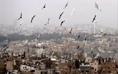 أجواء معتدلة في معظم المناطق وتوقع