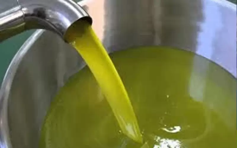 الزراعة: الزيت الفلسطيني ليس للتجارة بالأردن