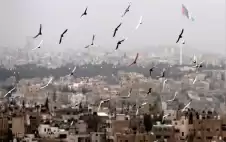 صحيفة نيسان ـ طقس بارد نسبيا إلى لطيف الجمعة