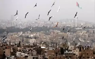 طقس بارد نسبيا إلى لطيف الجمعة