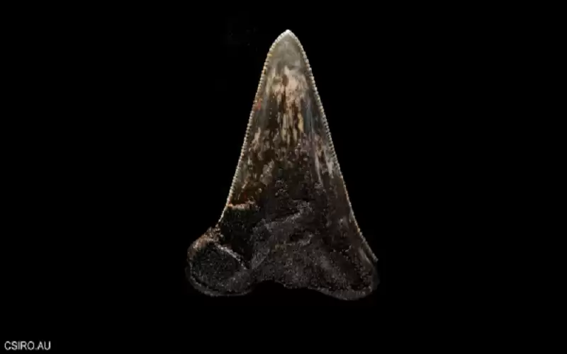 اكتشاف نادر لـسلف وحش البحار في