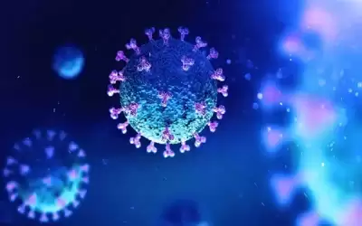 كيف نفرق بين كورونا والفيروس المخلوي