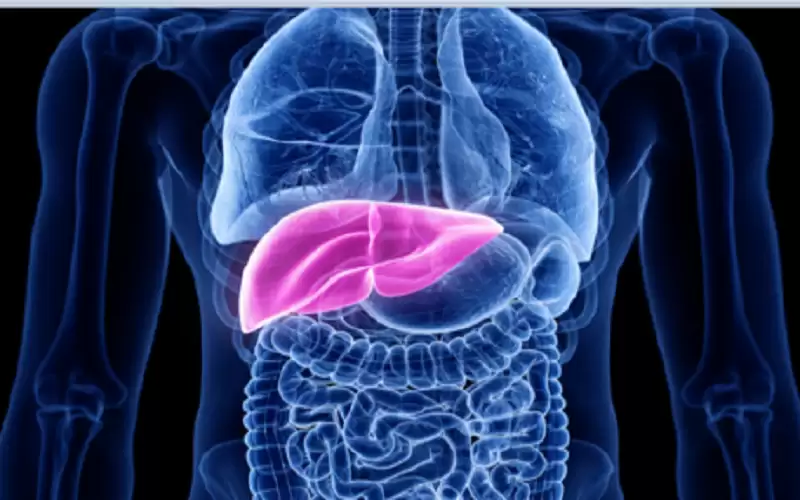 هل تستيقظ بين الساعة 1 و4