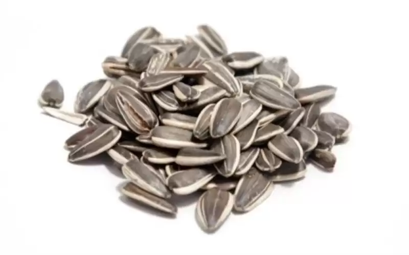 لهذه الأسباب بذور عباد الشمس وجبة