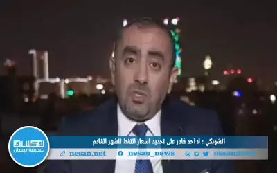 الشوبكي: لا أحد قادر على تحديد