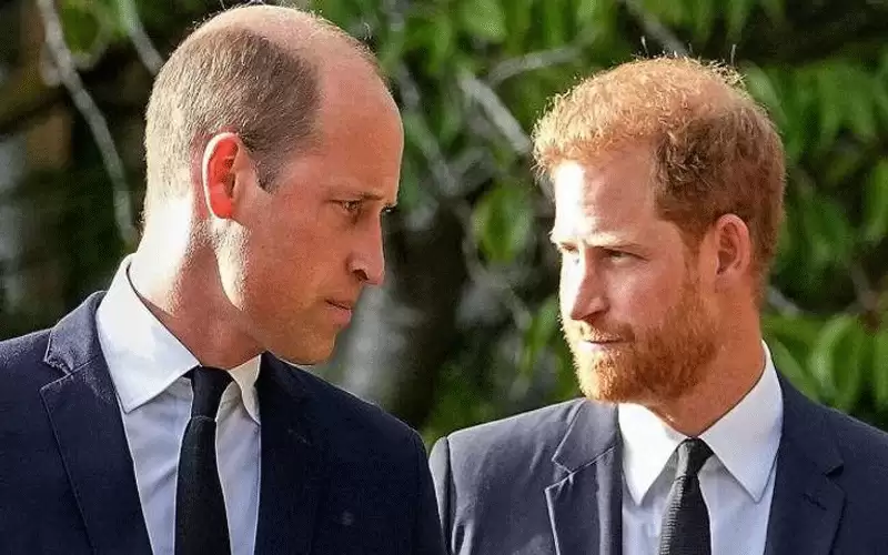 حرب الشقيقين.. خلاف وليام وهاري قديم