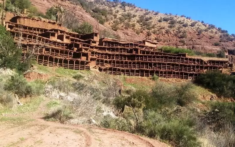 ما قصة أقدم مزرعة لتربية النحل