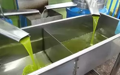وفاة شاب بعد سقوطه داخل خلاط