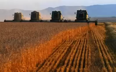 روسيا: تم جمع حوالي 150 مليون
