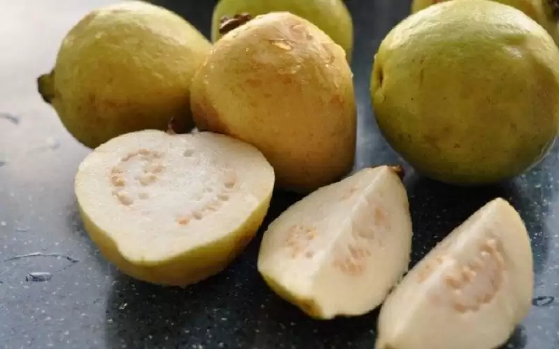 الجوافة.. فوائد عظيمة لا تقدر بثمن