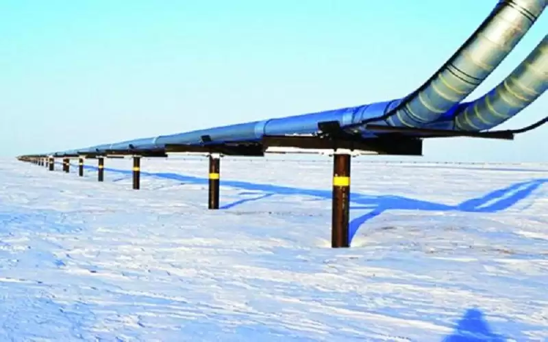 طلاء يطيل عمر المواد حتى 50