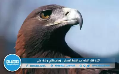 الكرك تنزع القيادة من القطط السمان