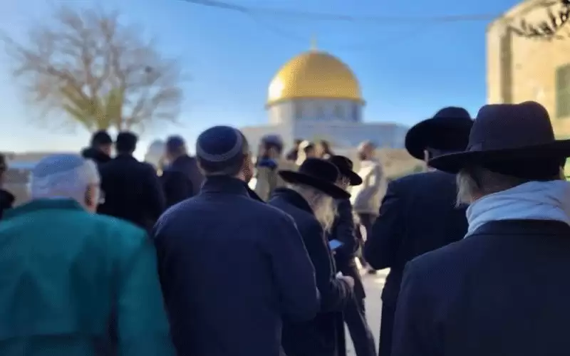 مستوطنون يقتحمون الأقصى في ثاني أيامالحانوكا