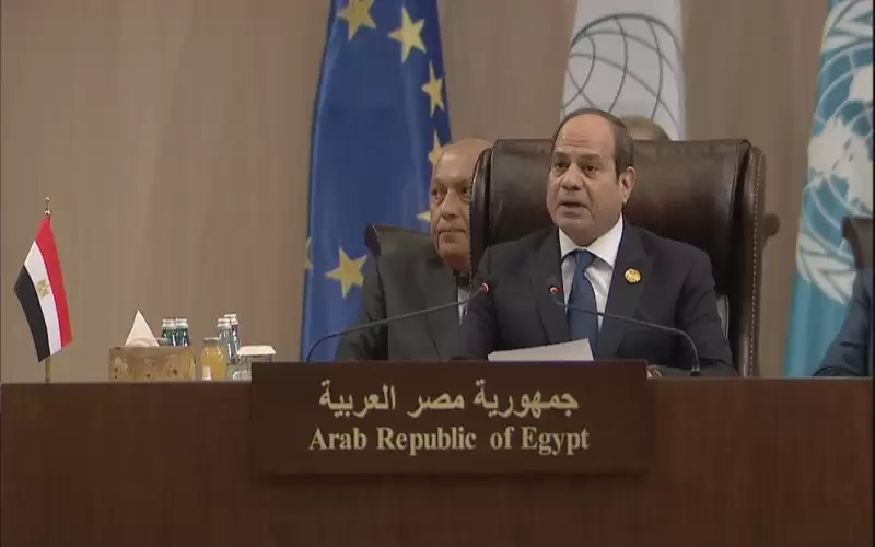 الرئيس المصري: نمضي قدما في شراكتنا