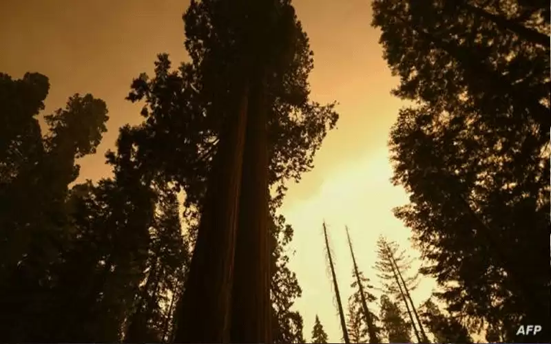 زلزال بقوة 64 درجات يضرب سواحل