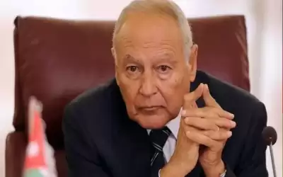أبو الغيط: موارد المنطقة يمكن أن