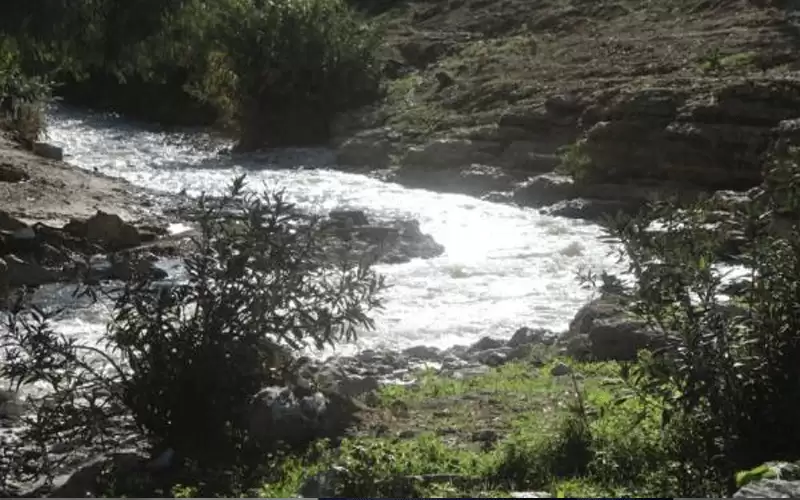 سلامة: نسبة تخزين المياه في سدود