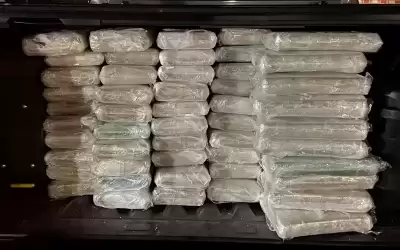 سلطات غواتيمالا تضبط 950 كيلوغراما من