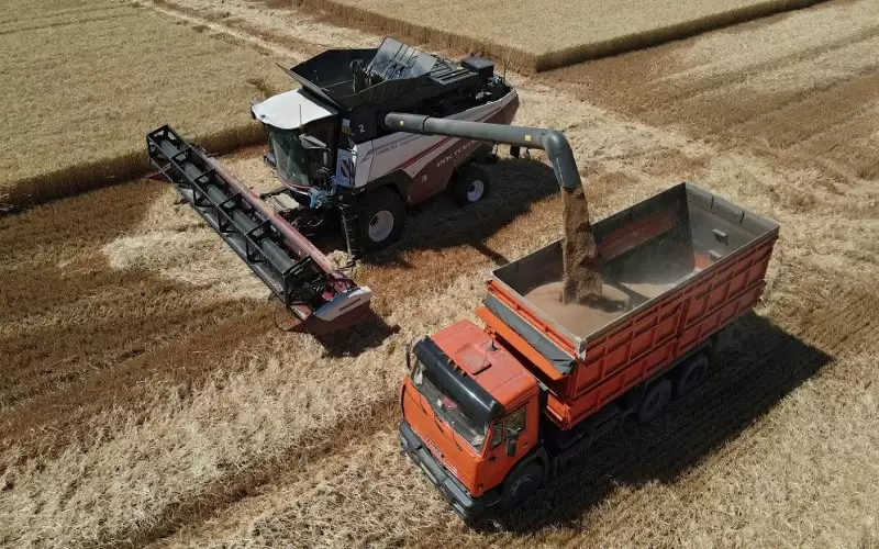 أوكرانيا تقدر تراجع حصادها من الحبوب