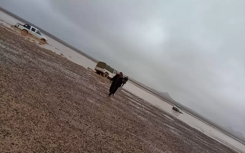 هجانة الأمن العام تنقذ مواطنين ومركبات