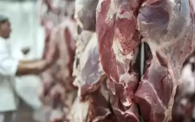 توقعات بإنخفاض أسعار اللحوم في الاسواق