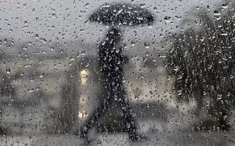 الأحد .. أمطار متفرقة إلى غزيرة