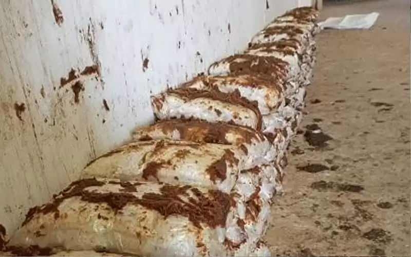 الجمارك الأردنية تحبط تهريب 6 ملايين